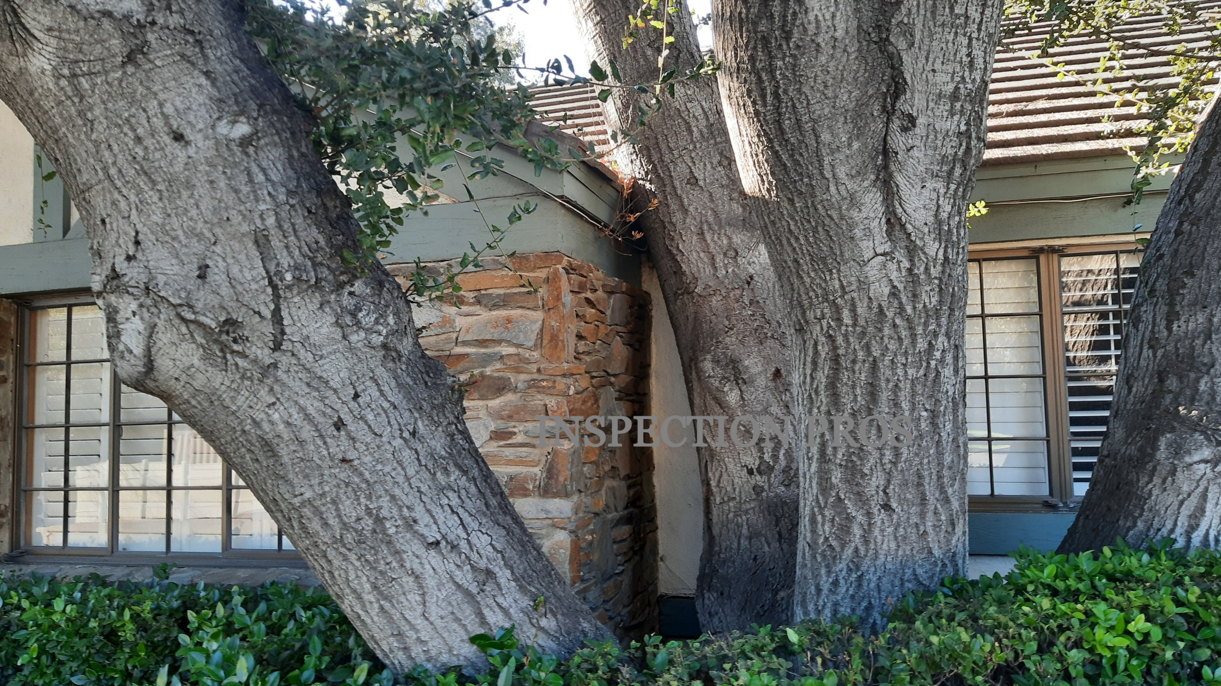 Martell1Melody's tweet card. The foundation of your home is critical to the overall stability and safety of the house. If your foundation starts to crack or settle, it can lead to serious safety of the house