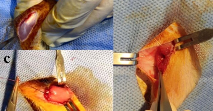 Tweet card summary image