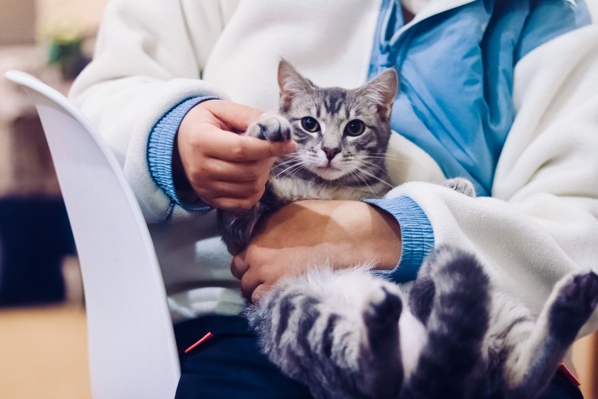 TechAcuteCom's tweet card. LifePulse's VetPulse 2000 aims to ease the delivery of cancer drugs using electric pulses instead of the usual processes like chemotherapy.