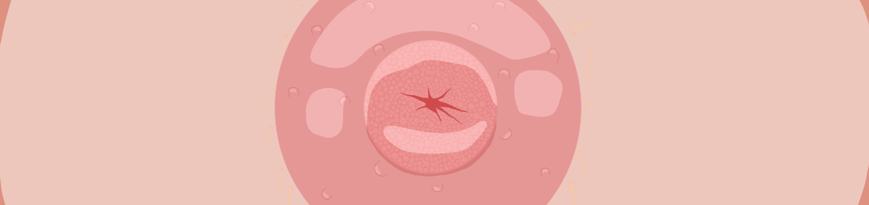 octopups_art's tweet card. NFTits. This collection is created to show all the beauty, tenderness, diversity of women's breasts. This is just my opinion as an artist who is eager to touch every corner of your soul. 50% of the...