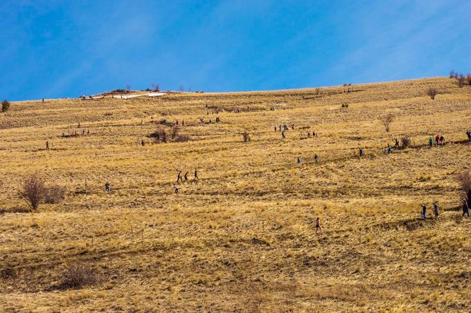 Shutterbug_Chel's tweet card. Find more inspiring images at VIEWBUG - the world’s most rewarding photo community.