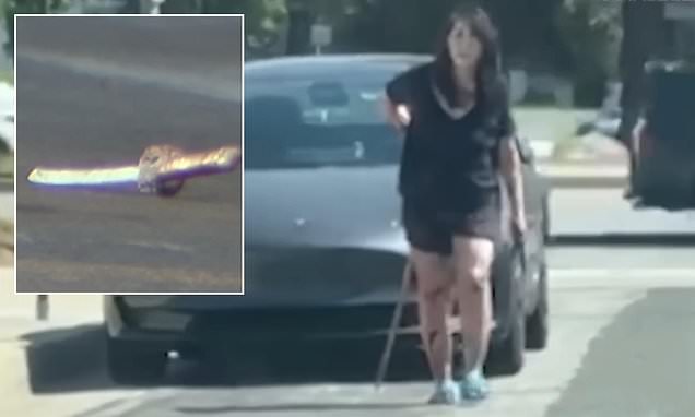 PhilMitchell83's tweet card. A woman who stabbed her wife 13 times with a samurai sword was sentenced in court on Monday after the defense argued that she was awake but unaware of her actions.