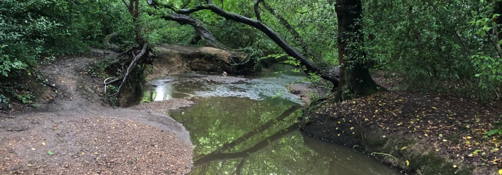 benjmurf's tweet card. Environmental charity Thames21 is working with partners to produce a series of feasibility studies and designs to explore removing physical barriers, such as weirs, to...