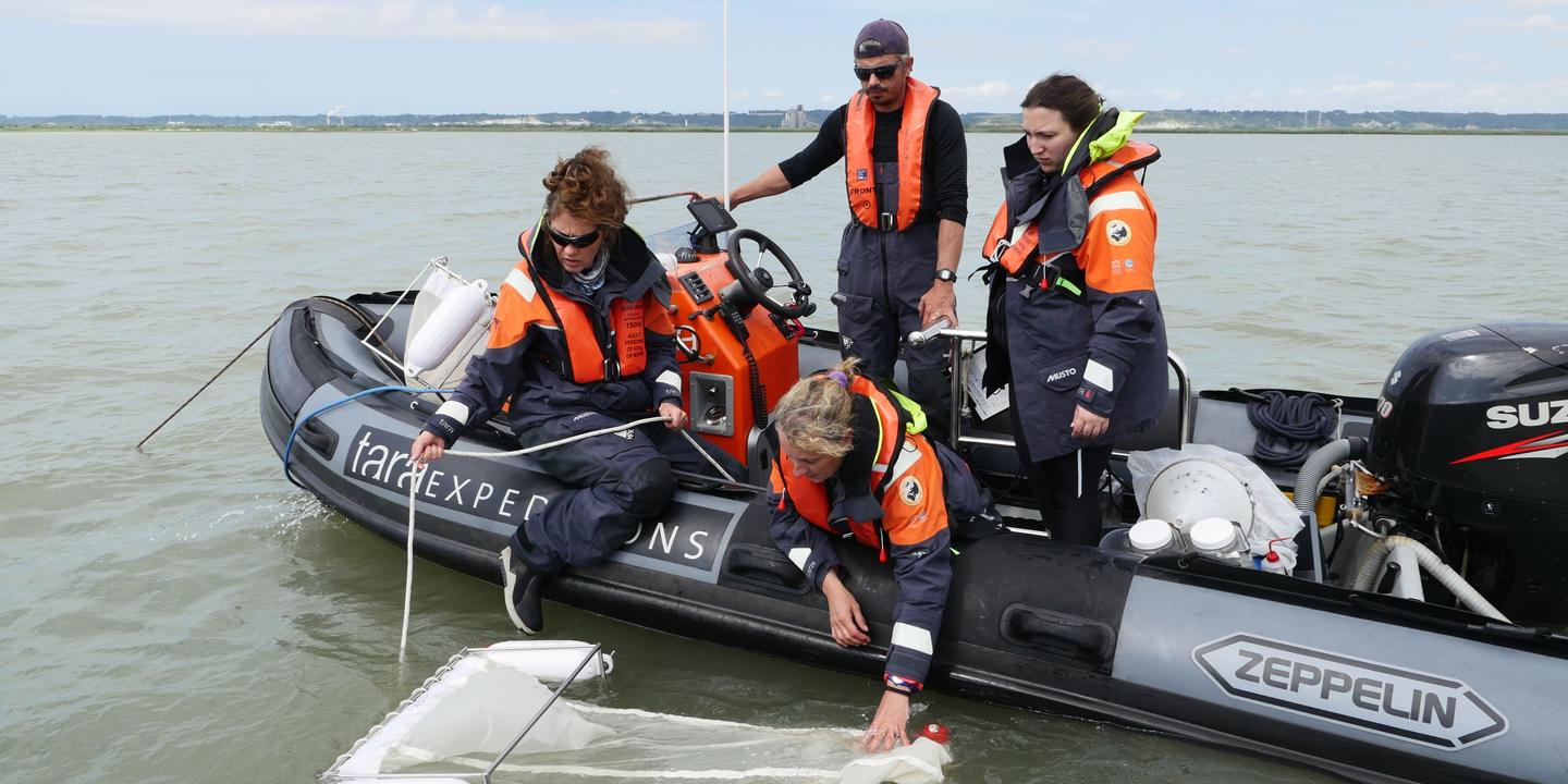 MathildeGracia's tweet card. Des études scientifiques sur neuf grands cours d’eau montrent une pollution « alarmante » en petites particules. Pour la première fois, une bactérie virulente pour les humains a été retrouvée sur des...