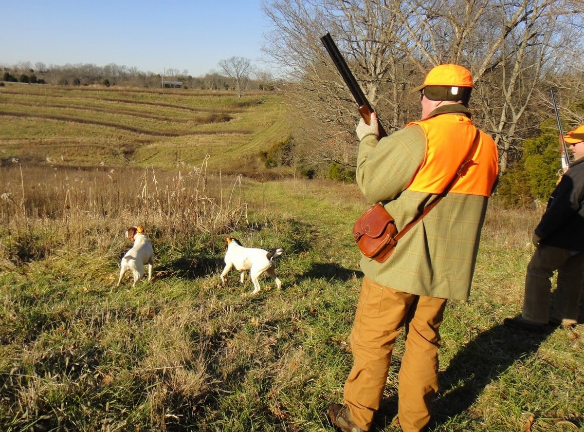 umbriaOn's tweet card. Marsciano - L'incidente di caccia è accaduto mercoledì a Badiola. Indagano le forze dell'ordine