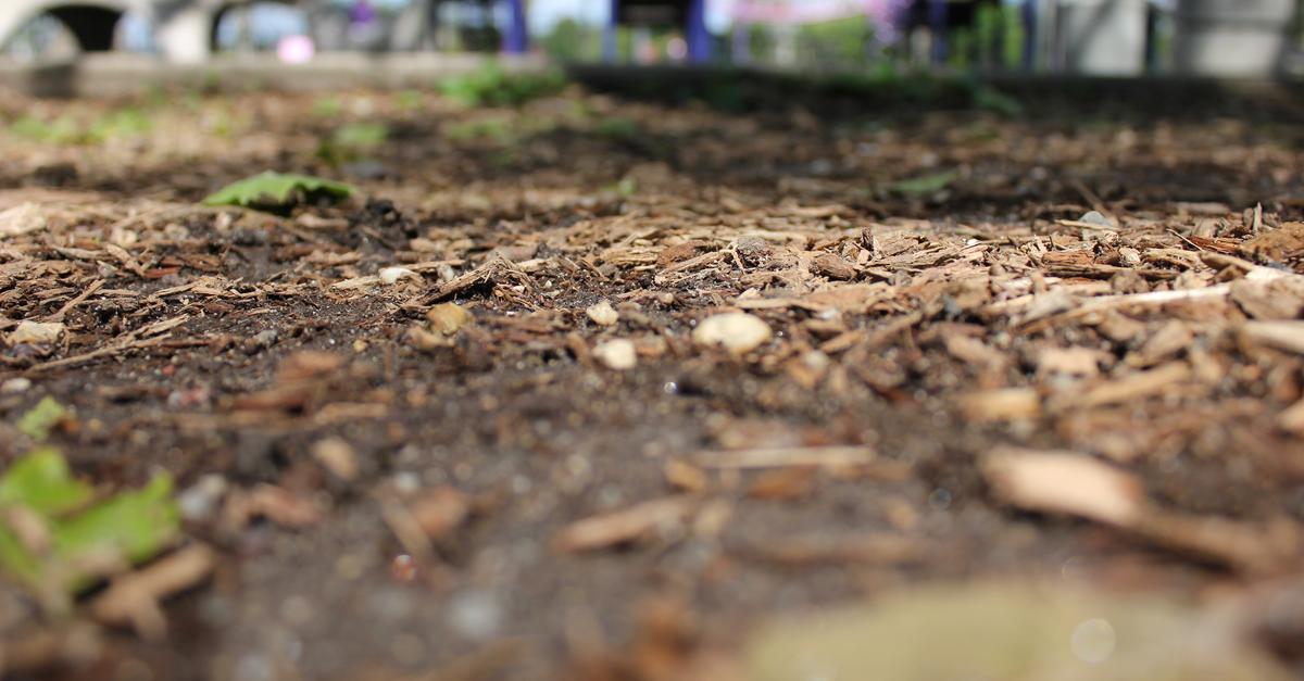 CSCResources's tweet card. City officials are divided on whether to do something about high levels of lead in soil. WNYC tested three public parks. Here’s what we found.