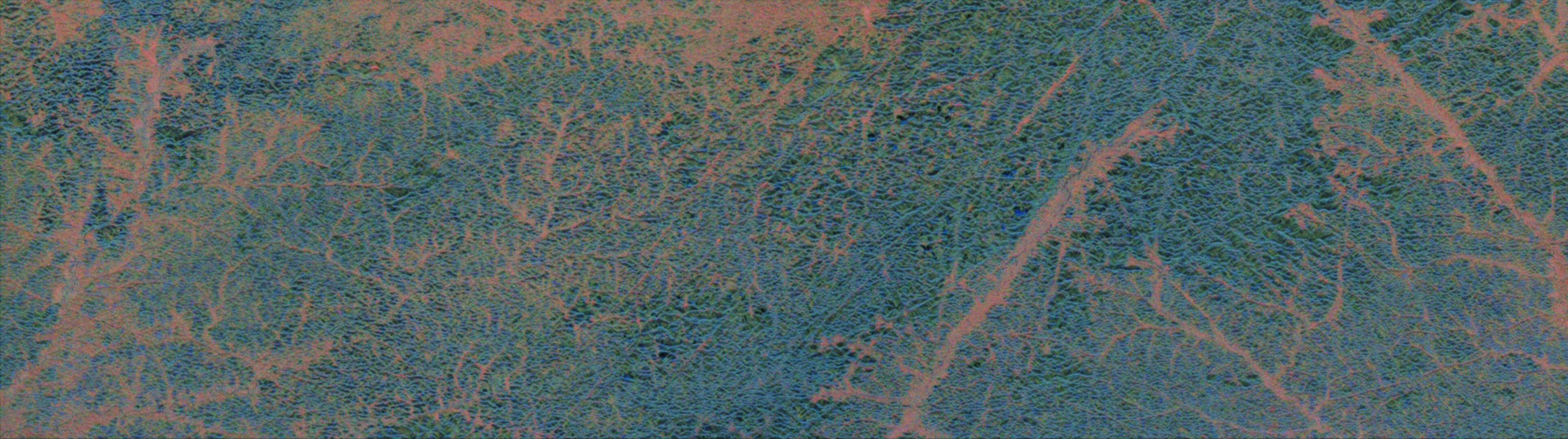 lin_umd's tweet card. As the COP30 climate conference gets underway in Brazil, the world’s attention is once again drawn to the plight of the Amazon – the planet’s largest and most vital rainforest. With the European...