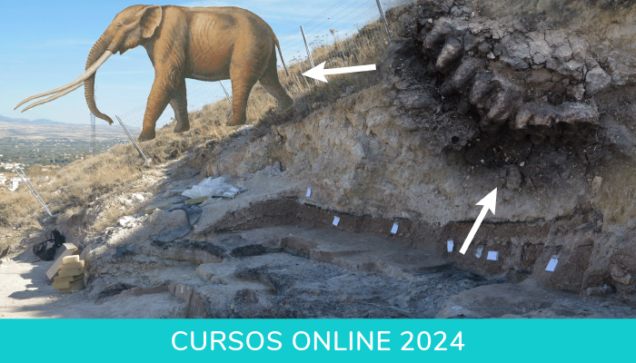 ICampanna's tweet card. Curso onlinepara comprender el desarrollo de una excavación y las técnicas que deben aplicarse durante su proceso de estudio.