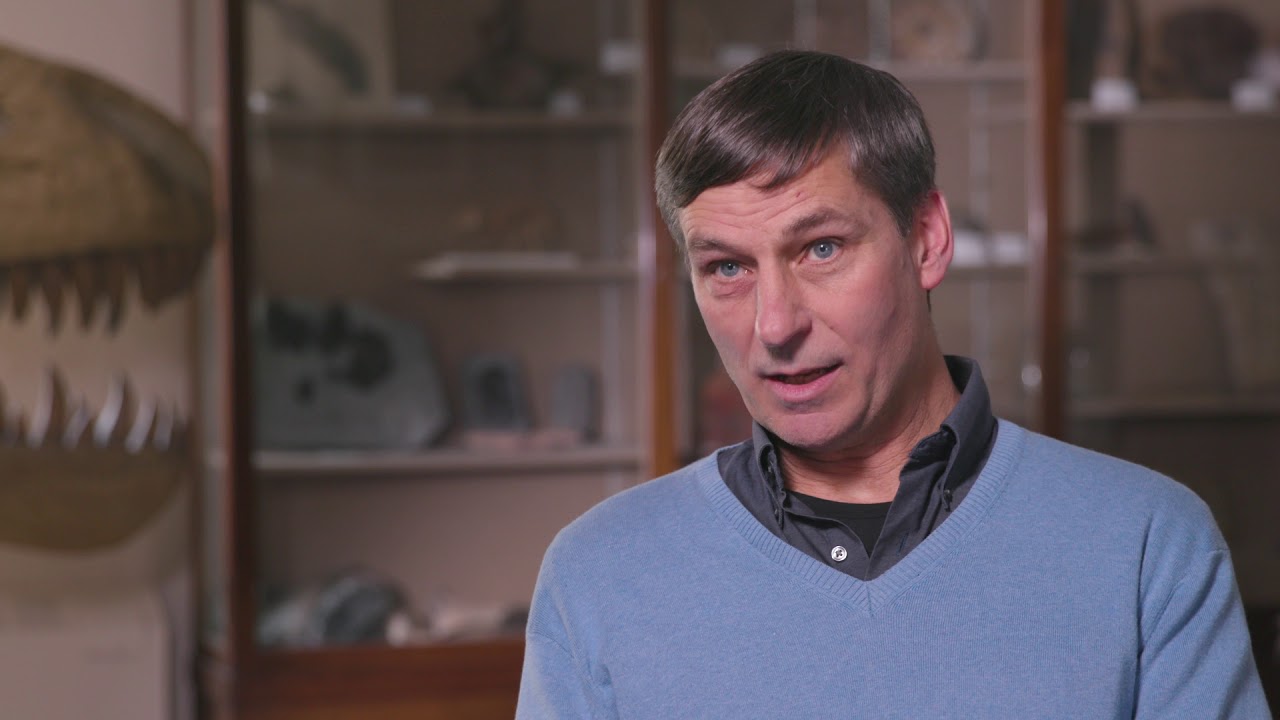 SIxDIGI's tweet card. Smithsonian Digitization: Impact of Digitizing Paleobiology Collect...