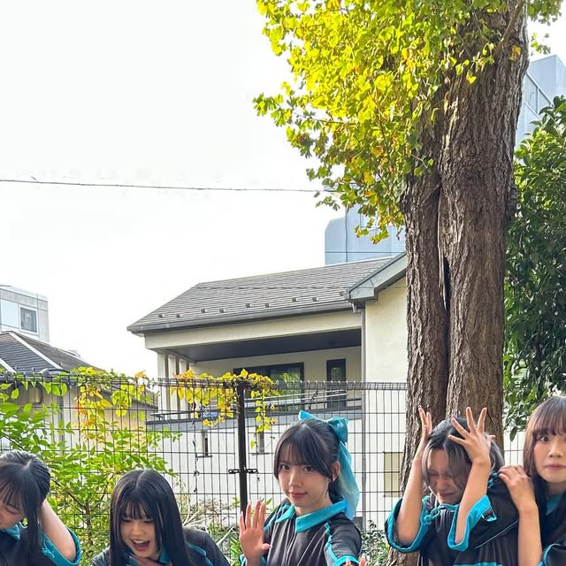 pandamic6's tweet card. PANDAMIC (@pandamicdesu) • Instagram photos and videos