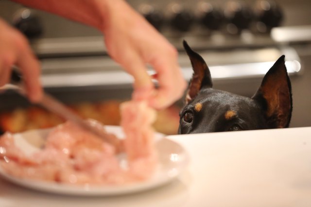 AVMAvets's tweet card. Thanksgiving is just one week away, a holiday that brings family and friends together, but it also can bring some hazards for pets. 