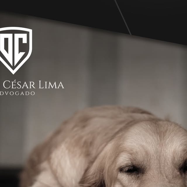 DyegoCesar89's tweet card. Dyego César Lima (@dyegocesaradv) • Instagram photo