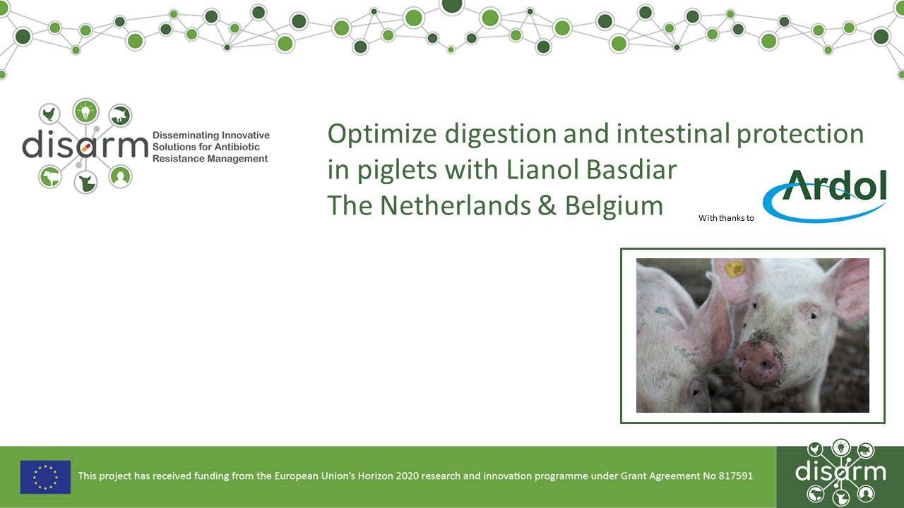 ProjectDisarm's tweet card. Optimizing digestion and intestinal protection in young piglets with...