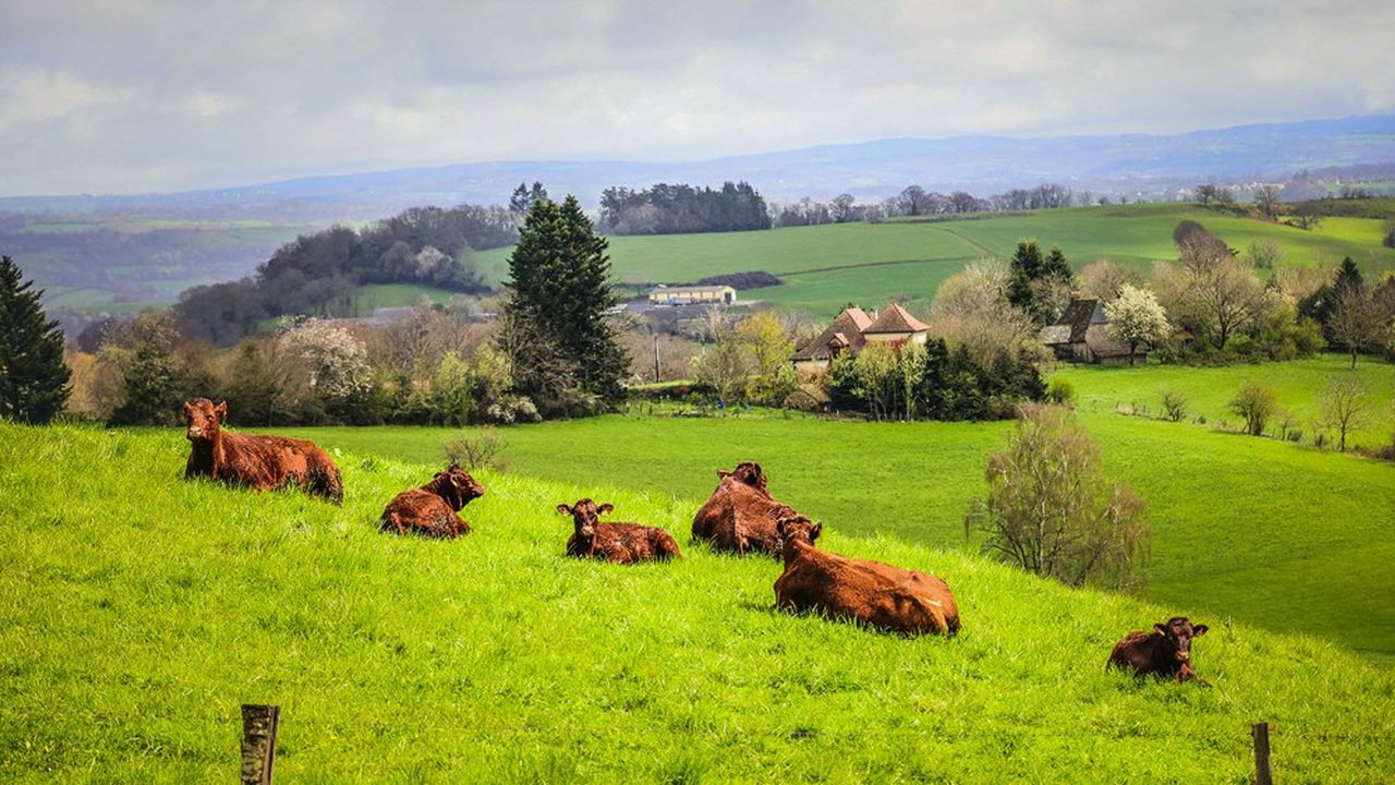 ClimateOfChange's tweet card. Le Shift Project, un think tank créé par Jean-Marc Jancovici, publie ce jeudi les résultats d'une vaste consultation auprès des agriculteurs français sur leurs attentes et leurs freins à l'égard de...