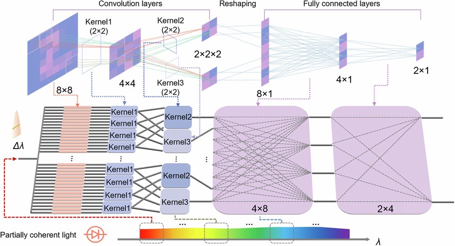 LightSciAppl's tweet card. Light: Science & Applications - This work presents a scalable on-chip optical neural network leveraging partially coherent sources for real-valued computing and wavelength-multiplexed...