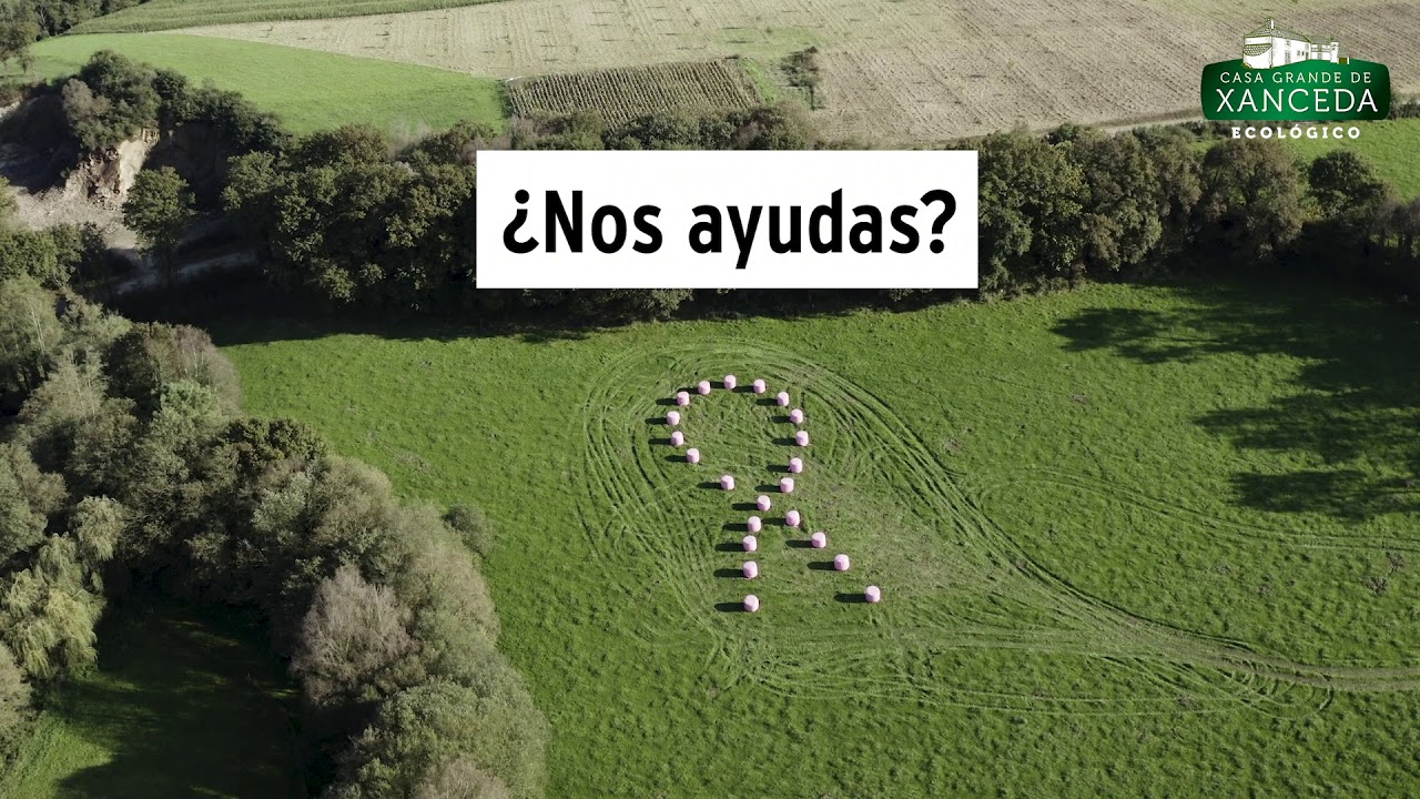 xanceda's tweet card. Un lazo gigante con bolas de hierba ecológica en Xanceda para luchar...