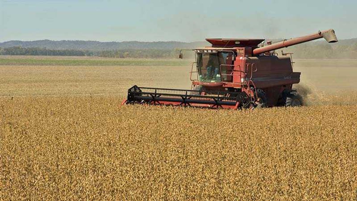 AlterNet's tweet card. More Iowa farms have filed for bankruptcy in six months than in all of 2024, and President Donald Trump's tariffs are making it worse.