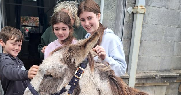 Tweet card summary image