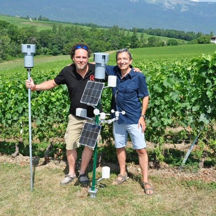 Tweet card summary image