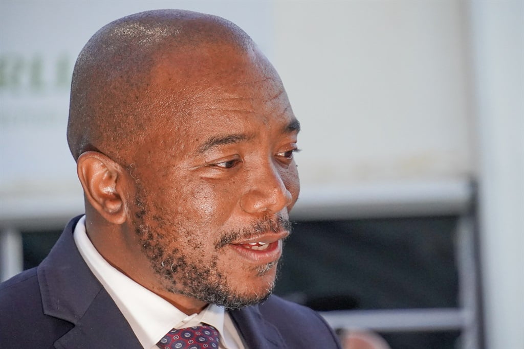 CamGreen's tweet card. The leader of one of two parties that helped the ANC get the Budget and fiscal framework over the line when it voted in support of it in the National Assembly has taken the party's proposed alterna...