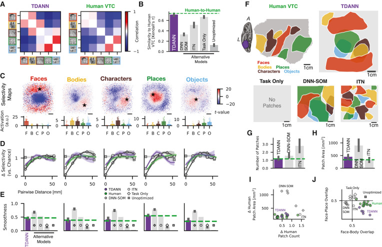dyamins's tweet card. Margalit et al. develop a topographic artificial neural network that predicts both functional responses and spatial organization of multiple cortical areas of the primate visual system. In turn, the...