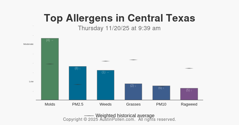 AustinPollenApp's tweet card. Austin pollen count and report. Allergy count report and help. Mold count report allergy. Best source daily allergy report. Cedar Oak Ragweed Mold.