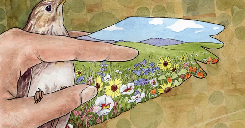 Tweet card summary image