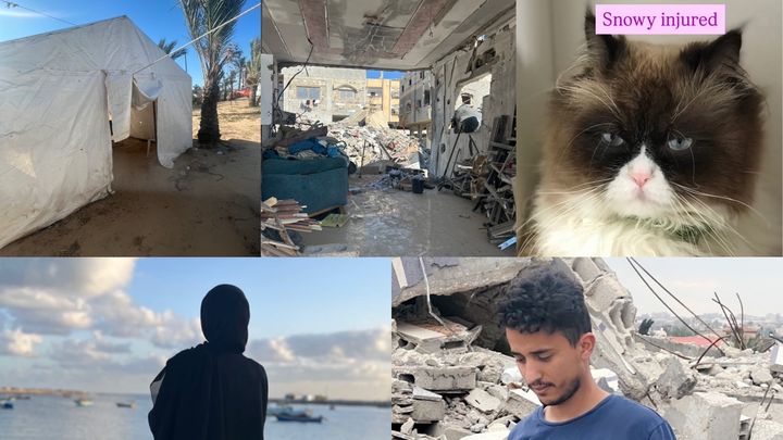 lara_abdalla1's tweet card. Appreciation topic❗️ ‼️DONT FORGET IN GAZA⛺️ We lost our beautiful job, s… Dr aysar needs your support for Help Lara and help abdalla to be safe in Gaza