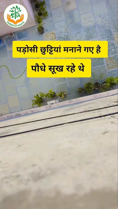 1kamaljitsingh's tweet card. पौधे क्या मेरे और क्या तेरे 🙆🙆🤷