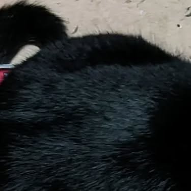 linux_rulz's tweet card. Jeff Hanscom (@jdhanscom) • Instagram photo