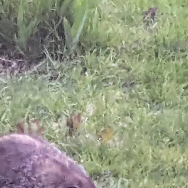 linux_rulz's tweet card. Jeff Hanscom (@jdhanscom) • Instagram photo