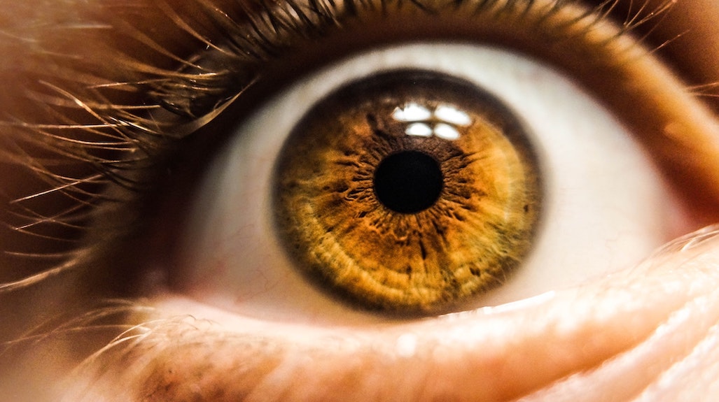 MichaelWestBiz's tweet card. If you still don’t care about your privacy, you should care about the collective harm that such practices inflict on freedom of expression, peaceful assembly, civil liberties and democracy in general...