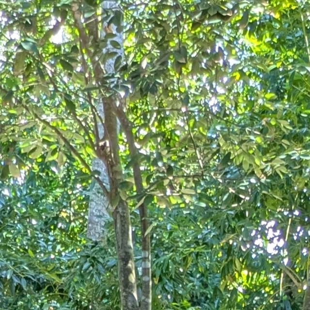 kimmie_2009's tweet card. Kimberly Smith (@auntkimmie_2015) • Instagram photo