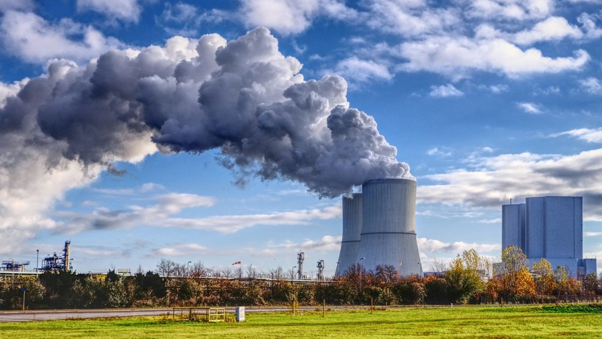 SillySigns1's tweet card. "Als we nou gewoon normaal doen, dan hebben we hier kolossale harmonie in plaats van kolossale mijnbouw en totale verruïnering van de aarde."