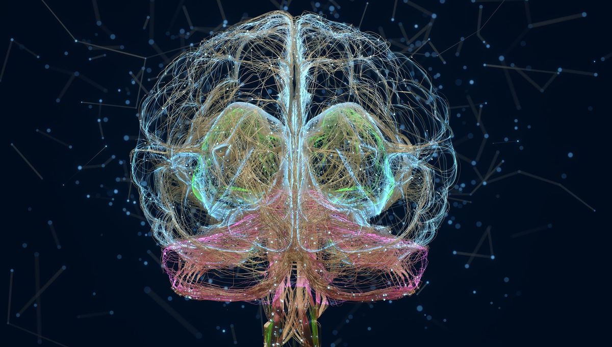 BlogNeuroCNRS's tweet card. Comment l’information passe-t-elle d’un neurone à un autre ? Cette question, au cœur de l’une des plus vives controverses du début de l’histoire des neurosciences trouva sa réponse en 1951 grâce à...