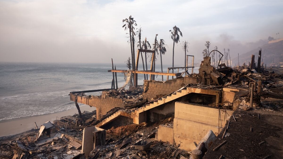 fastly's tweet card. Gizmodo spoke with the creator of the app that provides vital alerts about evacuations.