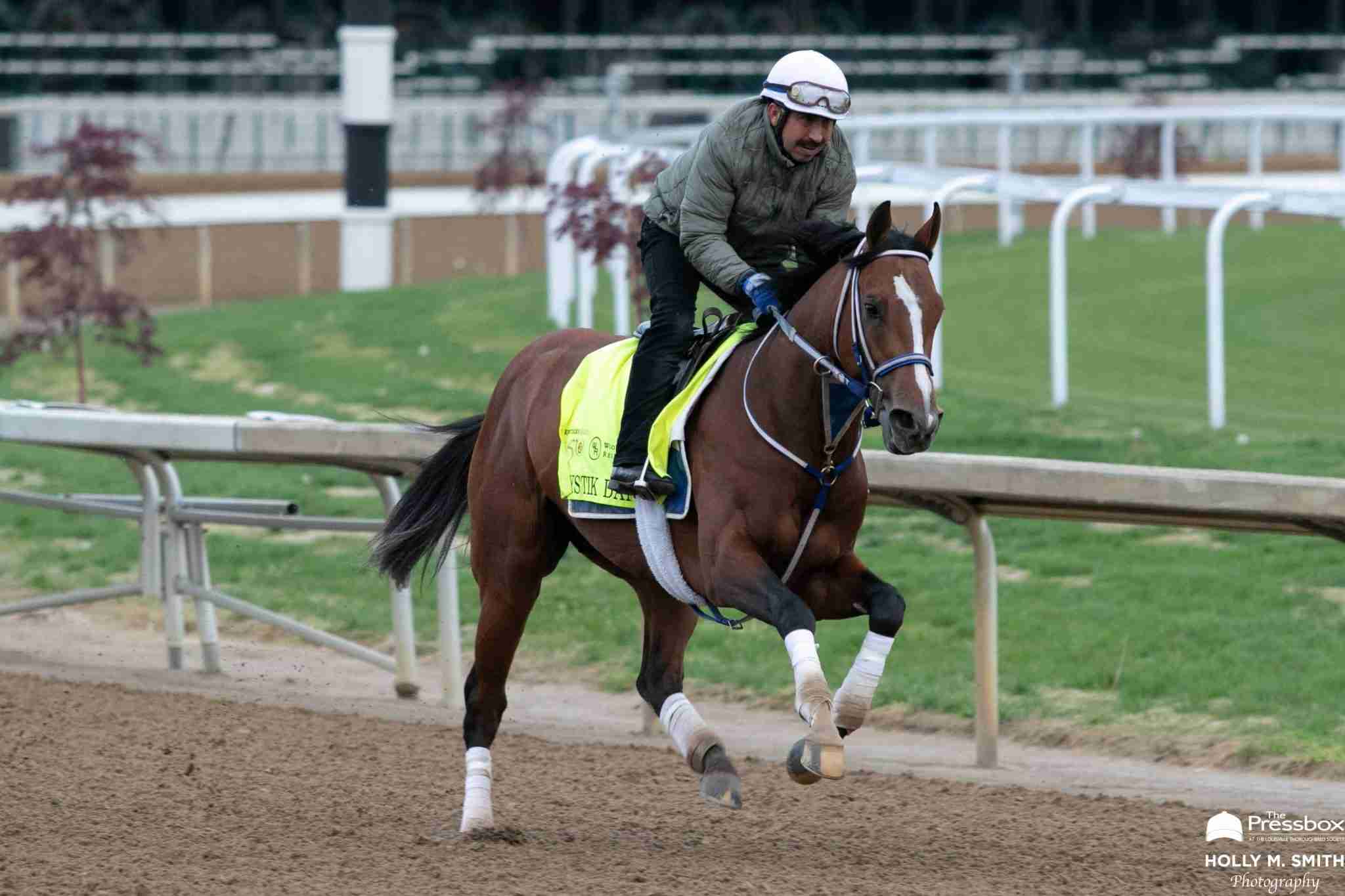 thepressboxlts's tweet card. (Mystik Dan / Photos by Holly M. Smith) What Is a "Flawless Horse?" Track Veterinarians Should Disclose How Horses Are Judged & Why Considered To Be Unsound By Loren Hebel-Osborne: Many of us on the...