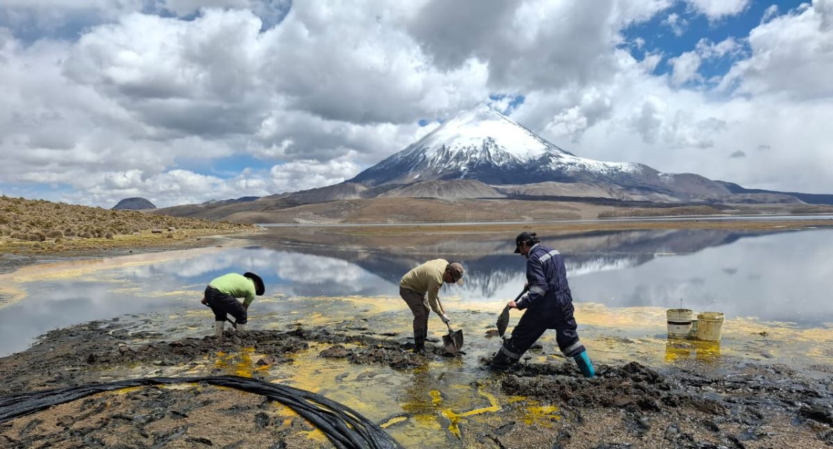 thecliniccl's tweet card. En la tarde de ayer un cambión se volcó en un sector del Lago Chungará, encendiendo las alarmas de la Conaf, quienes ya tomaron medidas.