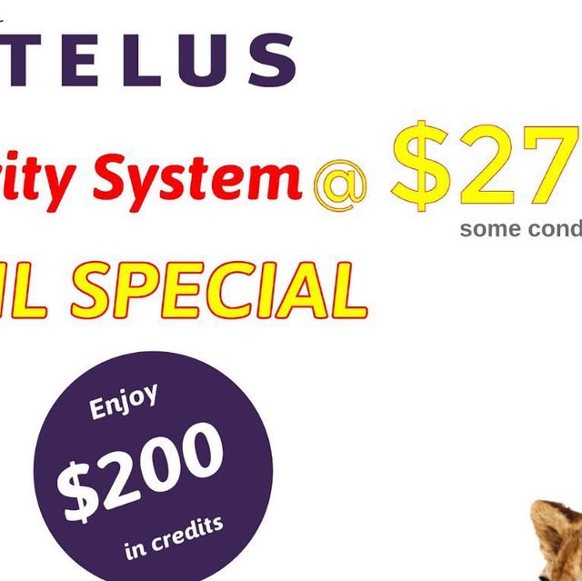 camsonics1's tweet card. CAMSONICS (@camsonics) • Instagram photo