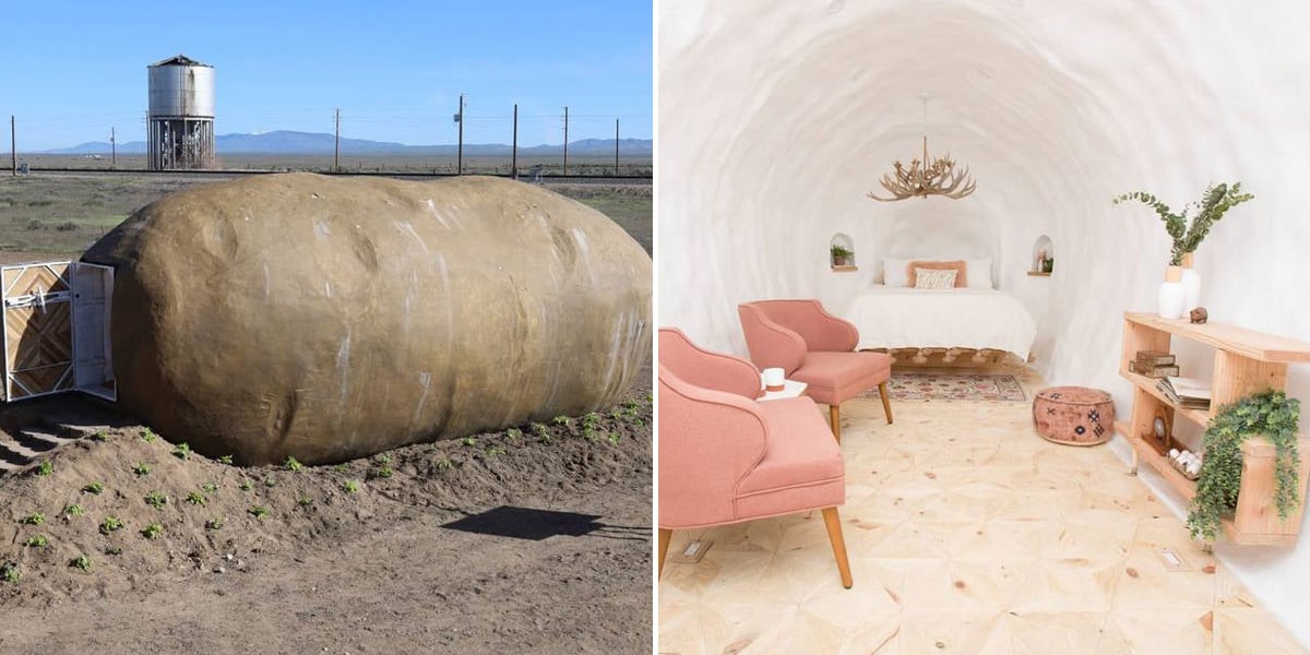 Withe1985's tweet card. If sleeping in a giant potato is wrong, we don't want to be right.