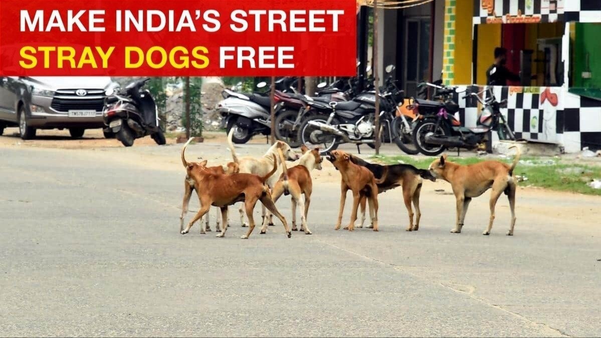 iampalsingh's tweet card. Implement the Supreme Court’s Stray Dog Removal Order Nationwide to Protect Lives