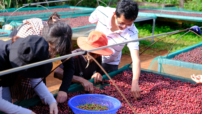 Wavemaker_VC's tweet card. RegenX's flywheel empowers global buyers to procure toxic-free and traceable ingredients directly from regenerative farming regions