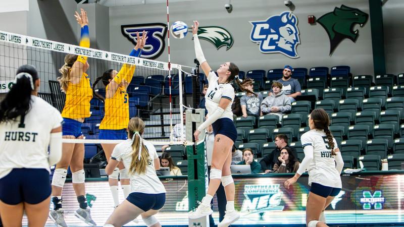 HurstAthletics's tweet card. ERIE, Pa – Opposite Hitter Julia Shepherd has received NEC Second Team All-Conference honors in her first season as a Laker. She was a key contributor to helping Mercyhurst clinch their first NEC...