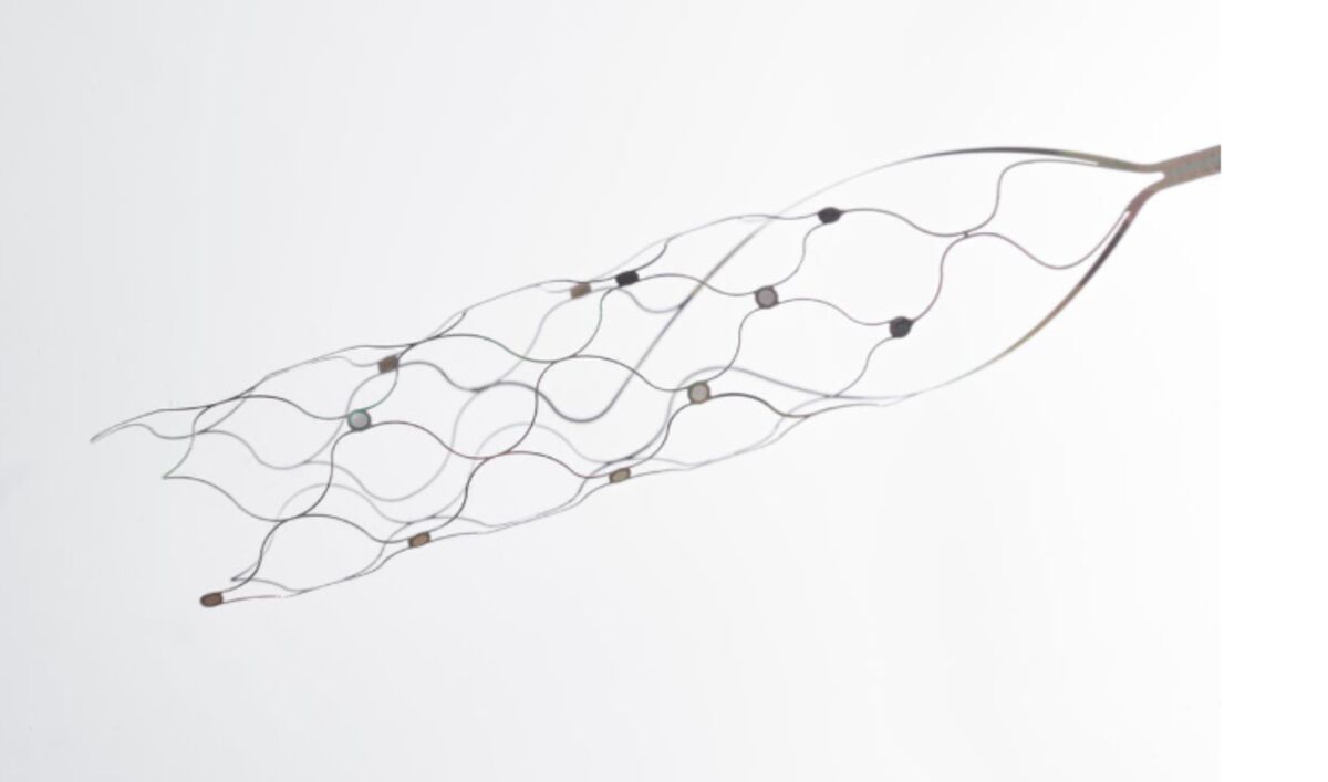 business's tweet card. Synchron Inc. raised $200 million to advance its work building brain implants that doctors can insert through blood vessels, avoiding the costly and high-risk surgeries necessary to install devices...