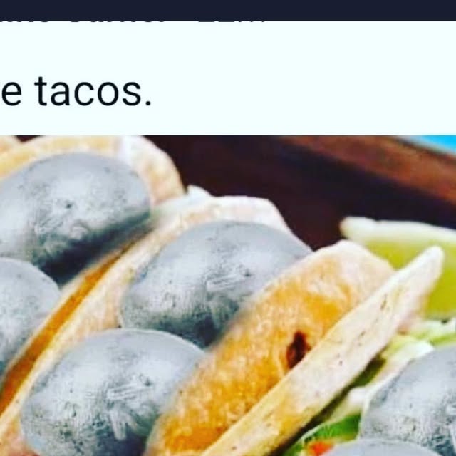 ReelJobCharters's tweet card. Reel Job Charter Fishing (@reeljobcharterfishing) • Instagram photo