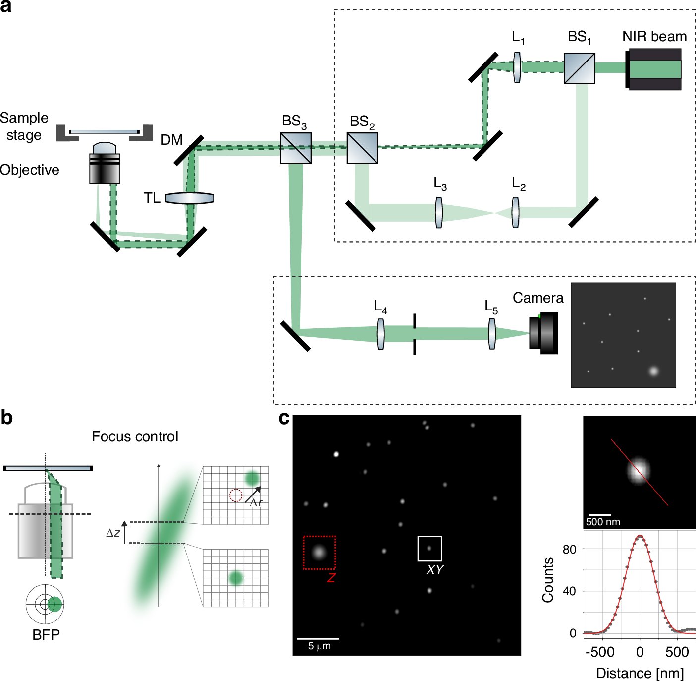 LightSciAppl's tweet card. Light: Science & Applications - Open-source sub-nanometer stabilization system for super-resolution fluorescence microscopy