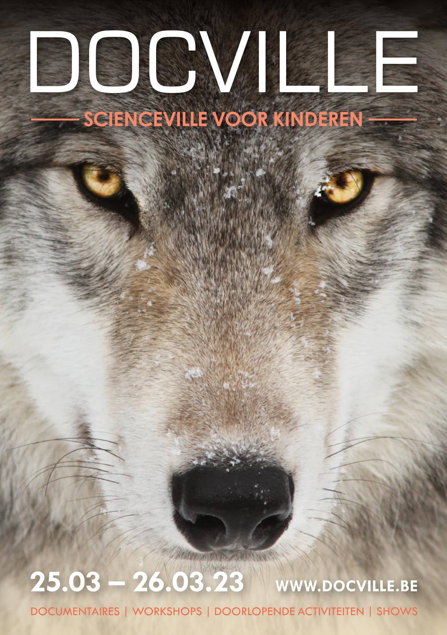 DOCVILLE_BE's tweet card. DOCVILLE 2023 / ScienceVille voor kinderen
