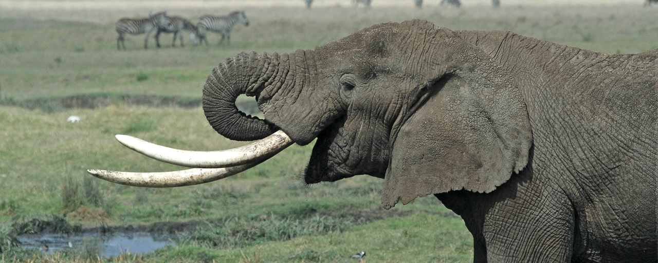 _GBartolini_'s tweet card. how CloudNativePG leverages Kubernetes readiness probes to give users more reliable and configurable control over PostgreSQL in high-availability clusters