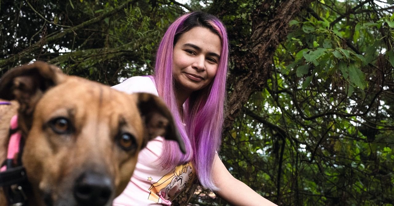 ViliLe's tweet card. From the Philippines to Colombia, low-paid workers label training data for AI models used by the likes of Amazon, Facebook, Google, and Microsoft.