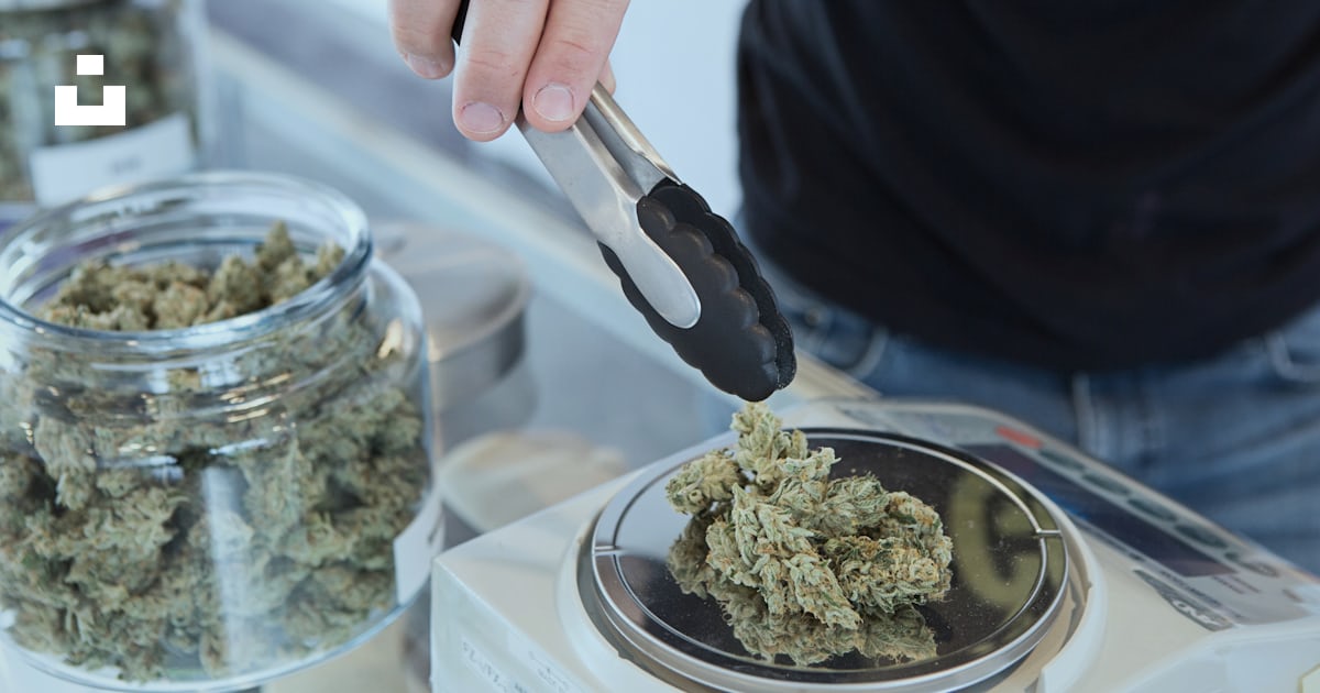 cannabisly's tweet card. Download this photo by Budding . on Unsplash